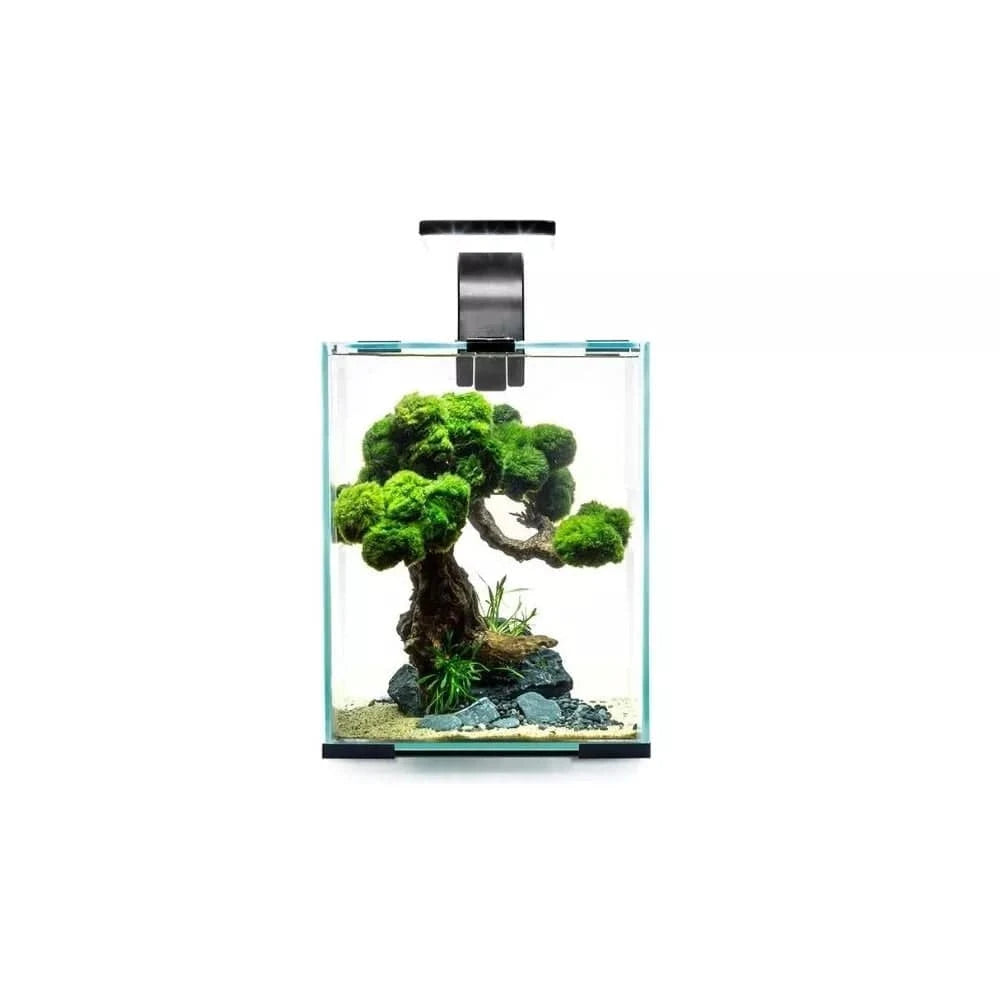 Aquael Shrimp Set Smart Day&Night 30 White akvariumas su įranga krevetėms 30 l