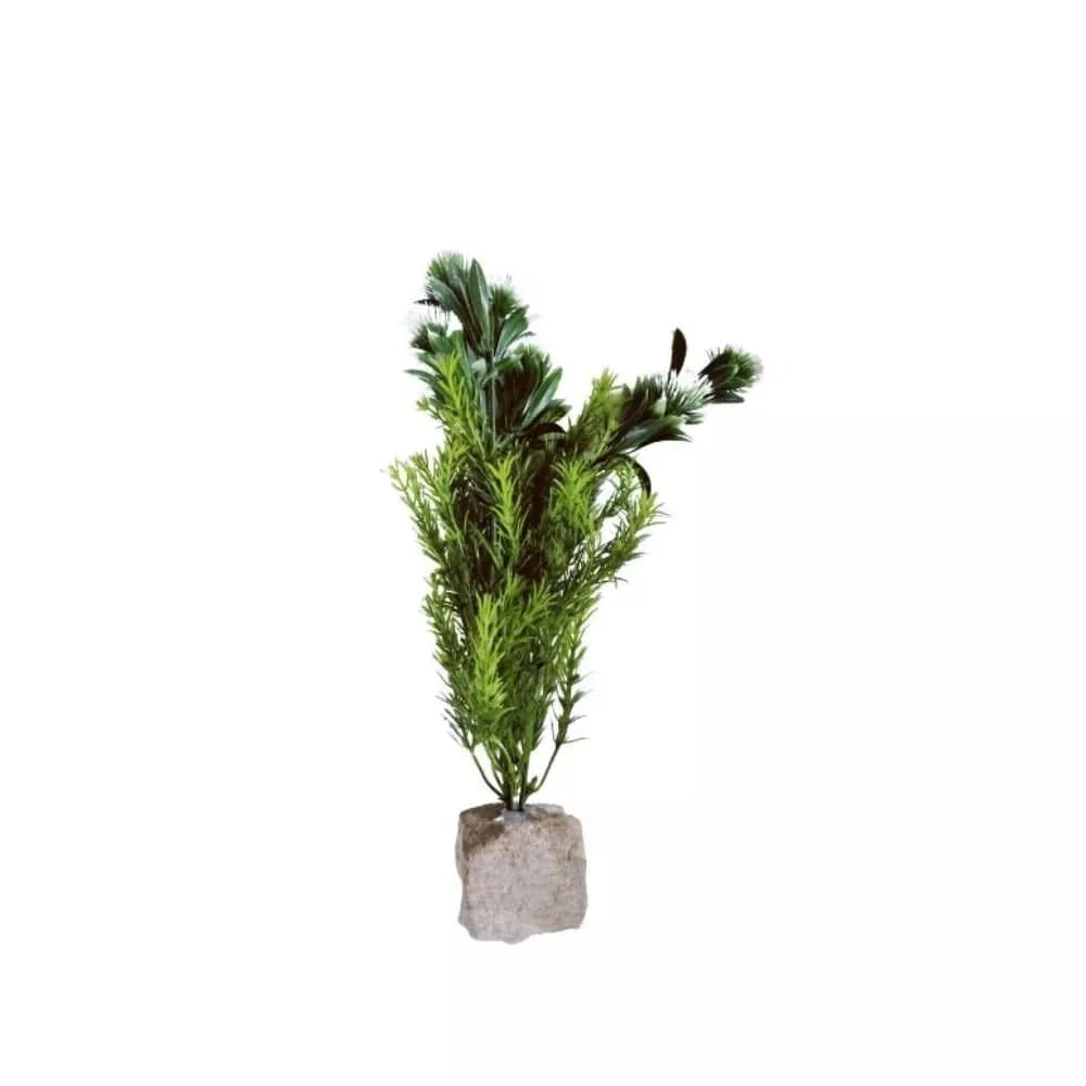 Augalas ant akmenuko XL