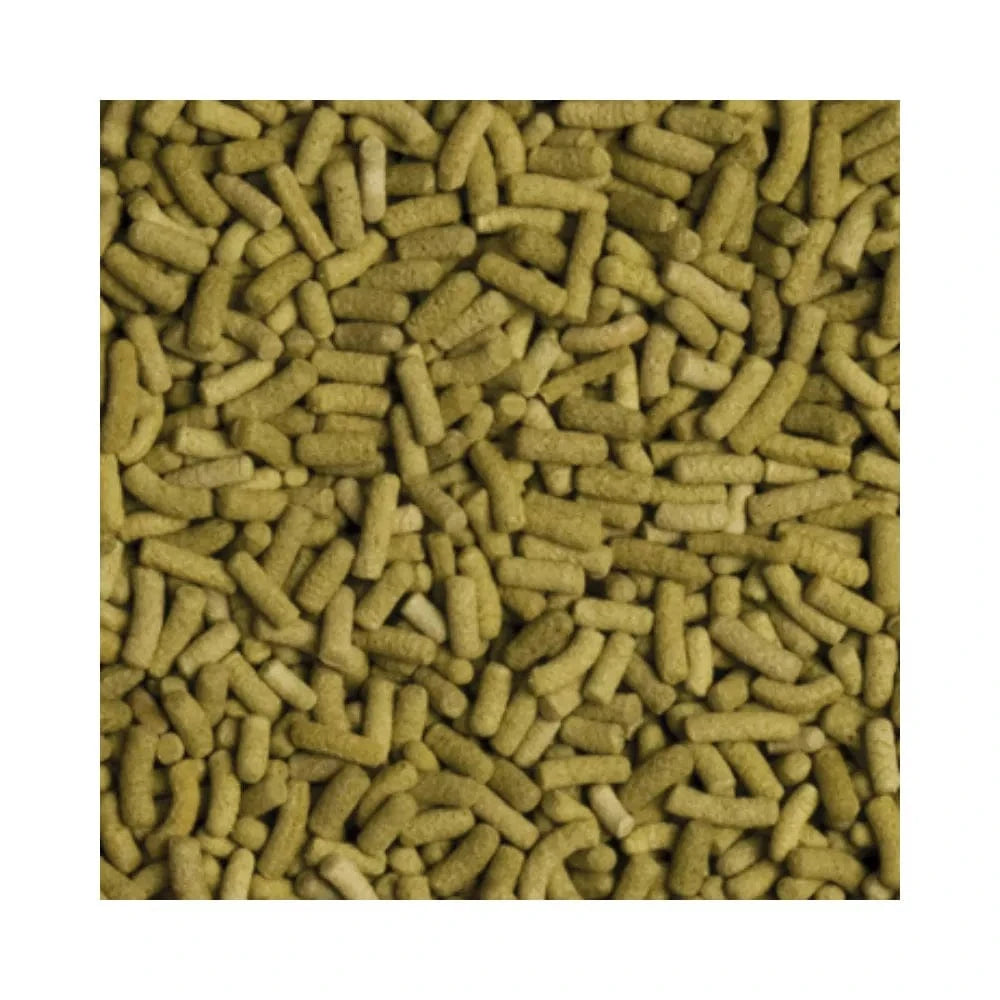 Tropical Biorept L pašaras sausumos vėžliams 500 ml