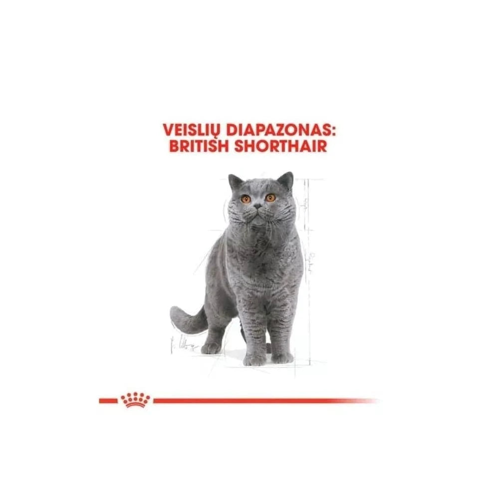 Royal Canin FBN British Shorthair Adult maistas suaugusioms Britų trumpaplaukių veislės katėms 2 kg