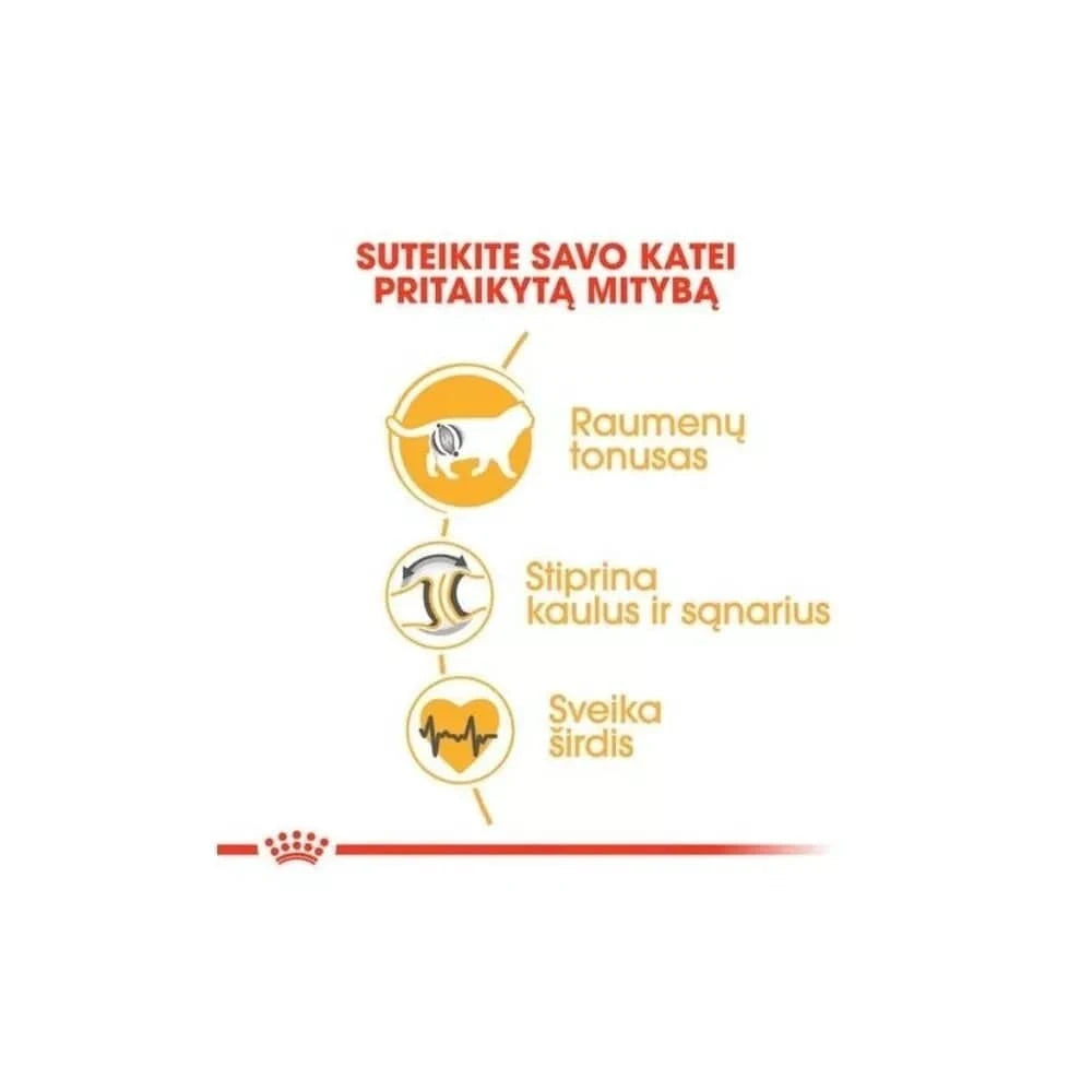 Royal Canin FBN British Shorthair Adult maistas suaugusioms Britų trumpaplaukių veislės katėms 2 kg