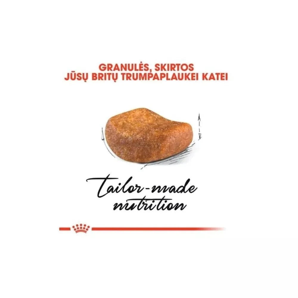 Royal Canin FBN British Shorthair Adult maistas suaugusioms Britų trumpaplaukių veislės katėms 2 kg