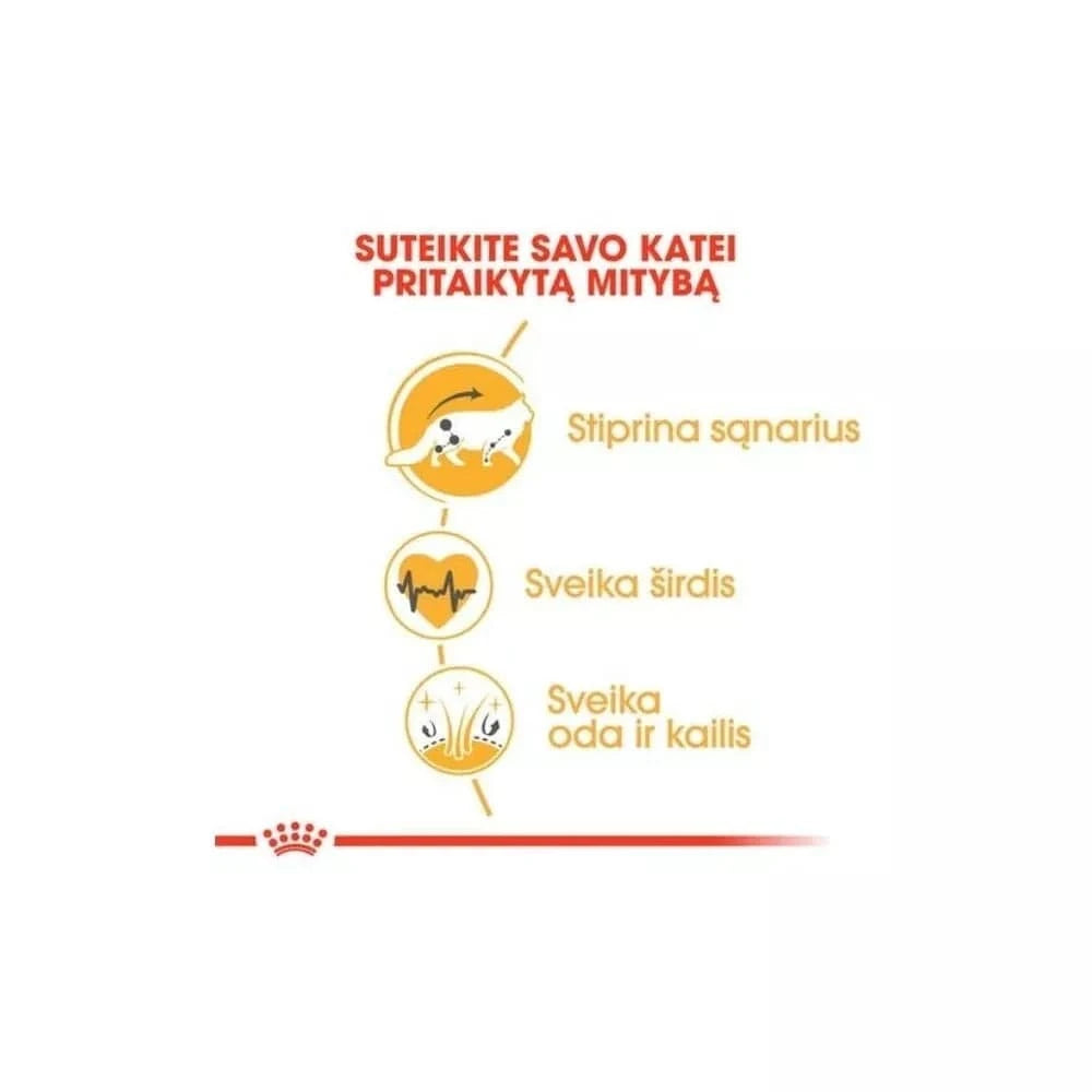 Royal Canin Maine Coon Sausas maistas Meino meškėnų veislės katėms 0,4 kg