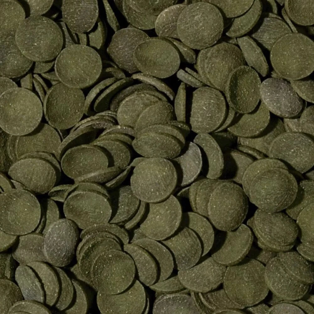 Tropical Green Algae Wafers pašaras dugninėms žuvims 100 ml