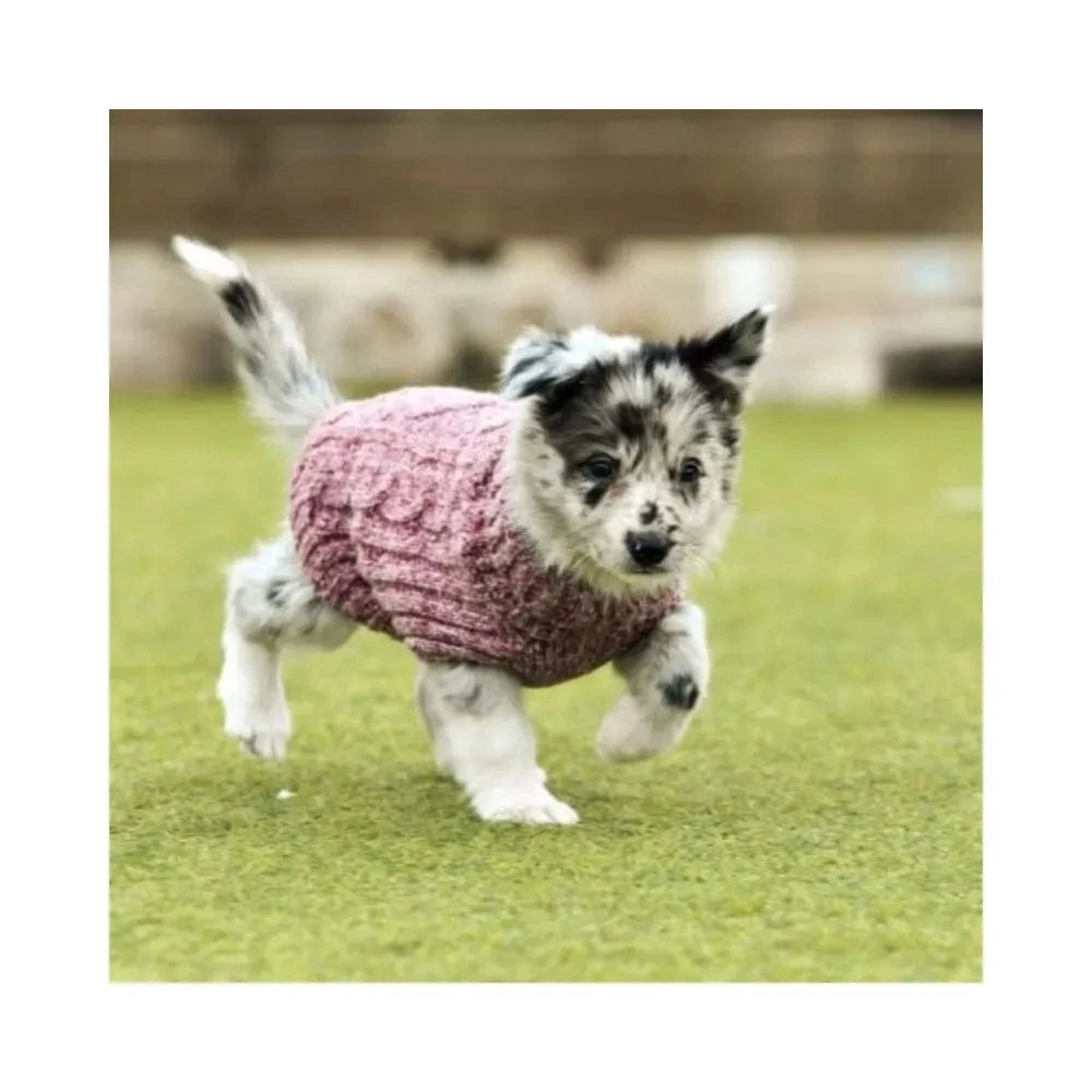 Megztukas šunims Himalaya, raudonas, 20 cm