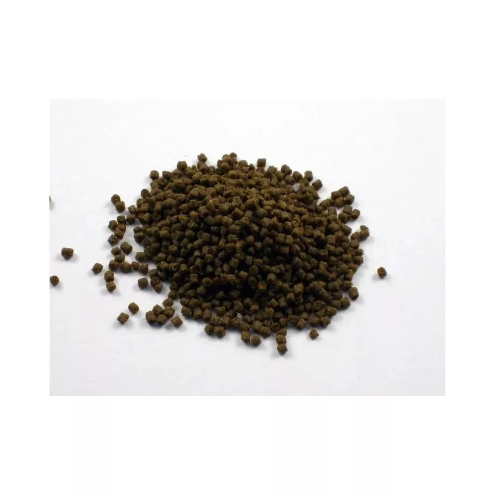 Pašaras žuvims Dr. Bassleer Biofish Food Lapacho XL, 68 g