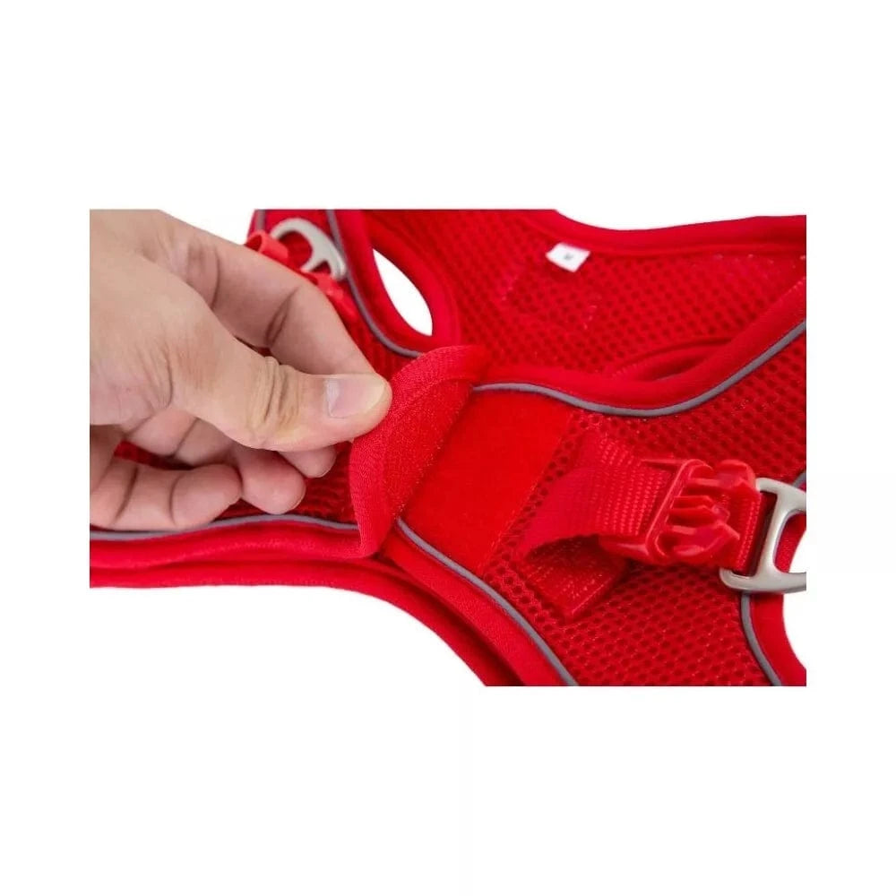 Petnešos Soft, juodos, S, 35-40 cm