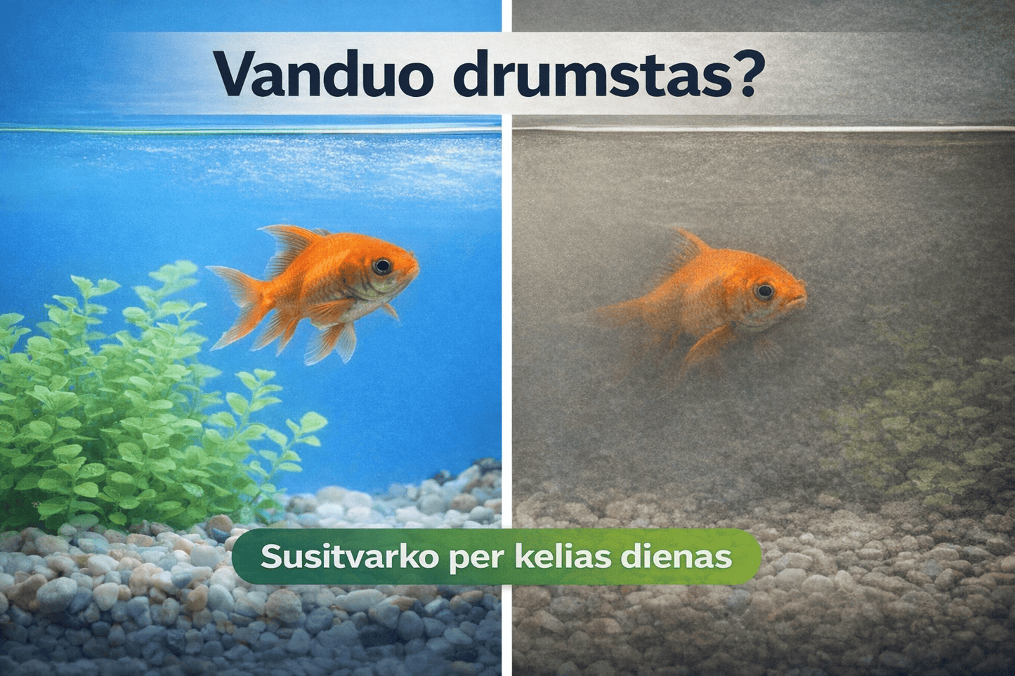 Bacto Start – bakterijos akvariumui (250 ml) bakterijos drumstam vandeniui
✔ sprendžia priežastį