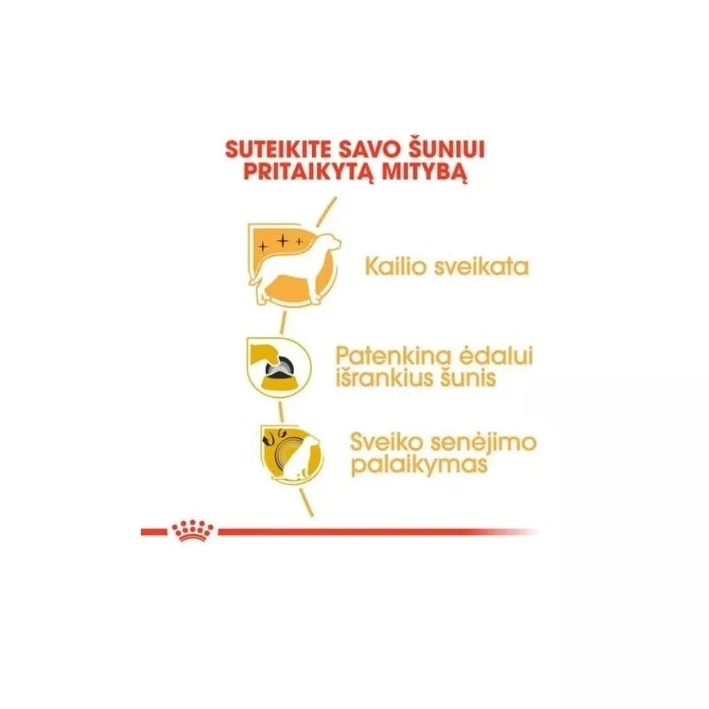 Royal Canin BHN Yorkshire Terrier Adult maistas suaugusiems šunims 0,5 kg