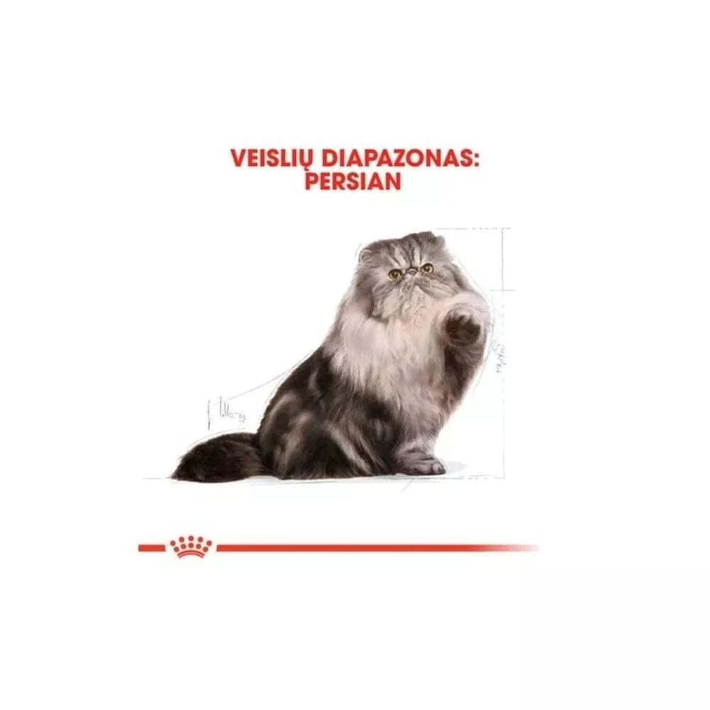 Royal Canin FBN Persian Adult maistas suaugusioms Persų veislės katėms 0,4 kg
