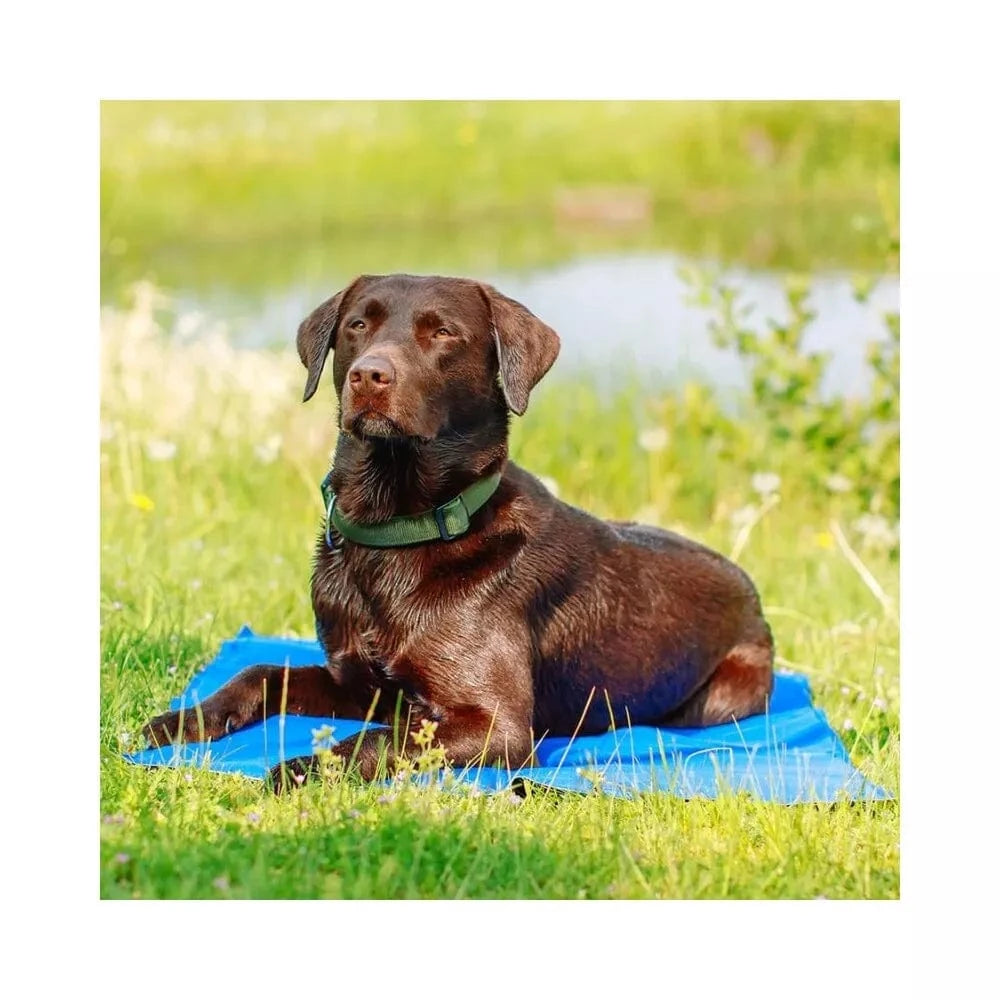 Vėsinantis kilimėlis šunims Ice XL, 110x70 cm