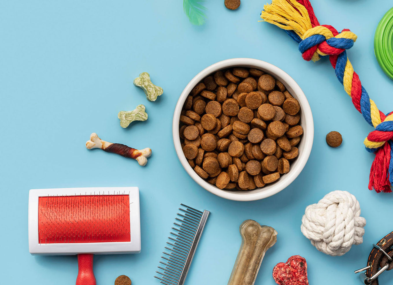 Kaip išsirinkti tinkamą maistą savo šuniui?