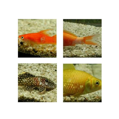 Akvariumo priežiūros priemonė Medimor, 100 ml