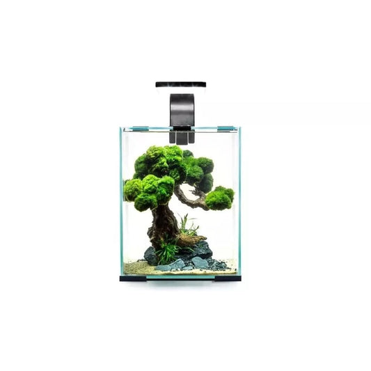 Aquael Shrimp Set Smart Day&Night 20 Black akvariumas su įranga krevetėms 20 l