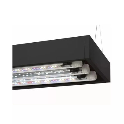 Aquael Ultrascape 60 Forest Set, 60x30x36 cm, 64,8 l