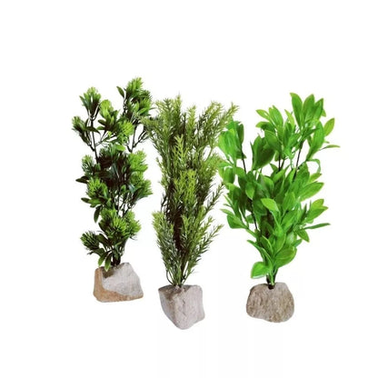 Augalas ant akmenuko XL