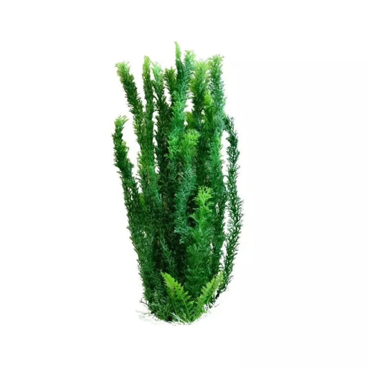 Augalas dirbtinis 52 cm