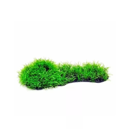 Augalas dirbtinis 8 cm