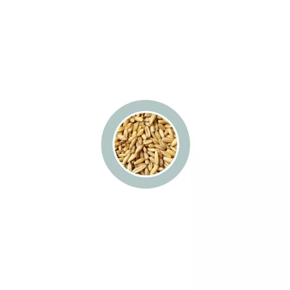 Avena Decorticata lukštentos avižos 1kg