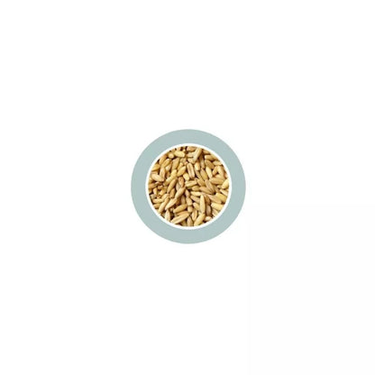 Avena Decorticata lukštentos avižos 1kg