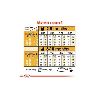 Royal Canin BHN Yorkshire Terrier Junior maistas jauniems šuniukams 1,5 kg