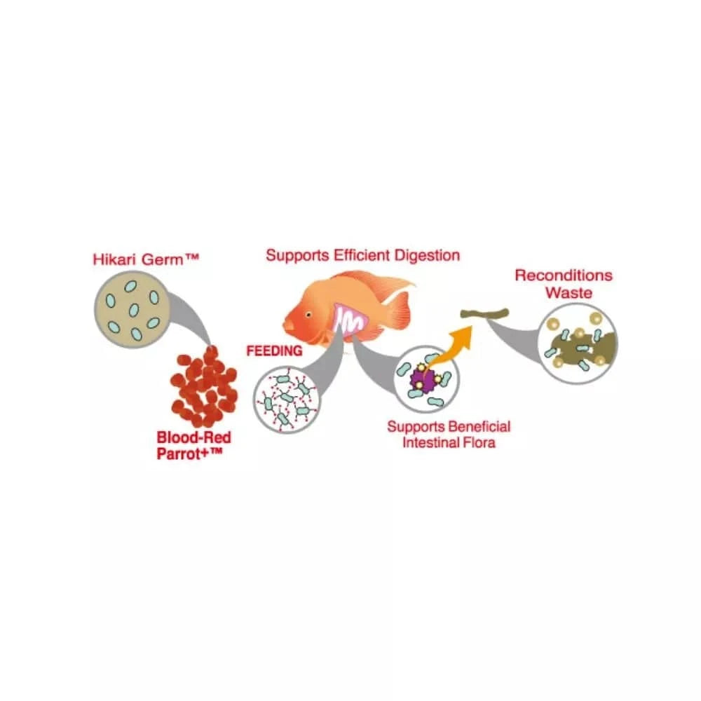 Blood Red Parrot Plus Mini visavertis pašaras žuvims 333 g