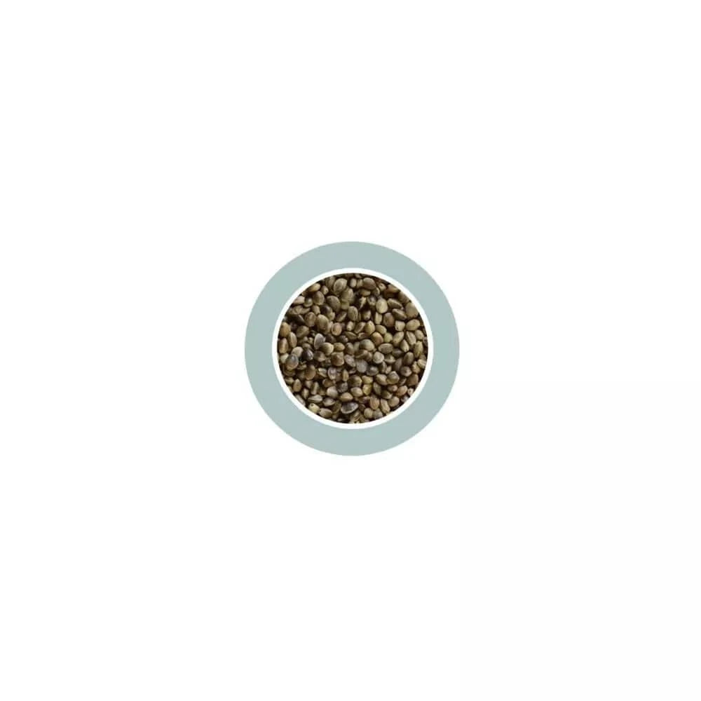 Canapuccia Small Hampseed kanapių sėklos 850 g