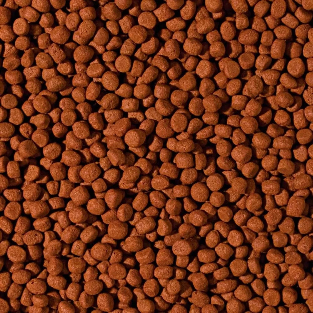 Cichlid Carnivore Medium Pellet granuliuotas maistas mėsėdžiams ciklidams 1000 ml