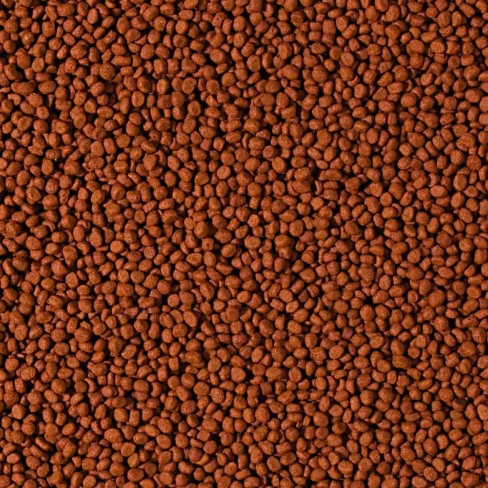 Cichlid Carnivore Small Pellet granuliuotas maistas mėsėdžiams ciklidams 250 ml