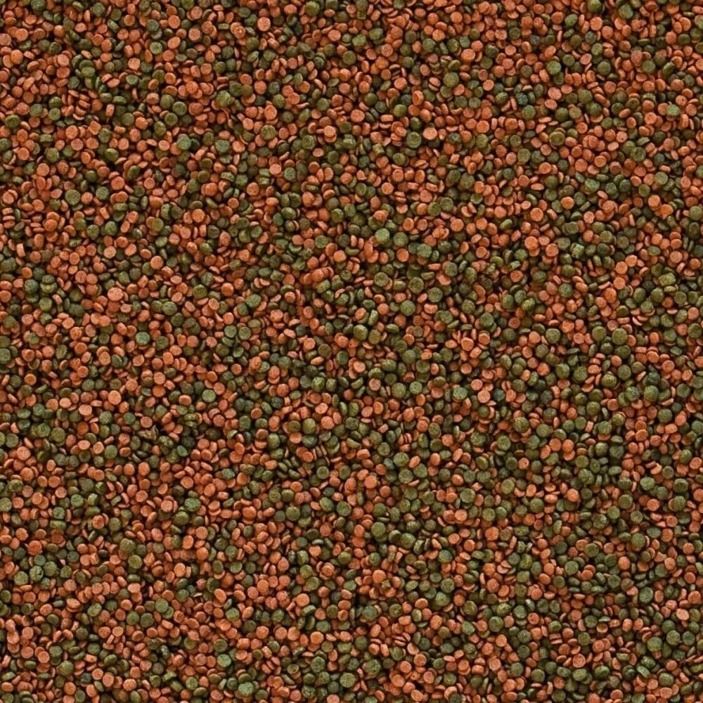 Cichlid Gran granuliuotas maistas ciklidams 1000 ml