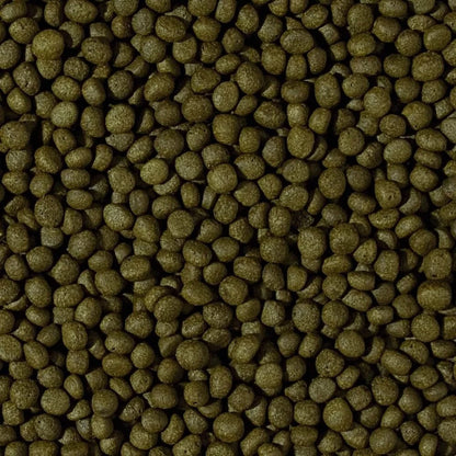 Tropical Cichlid Herbivore Medium Pellet maistas ciklidams 1000 ml