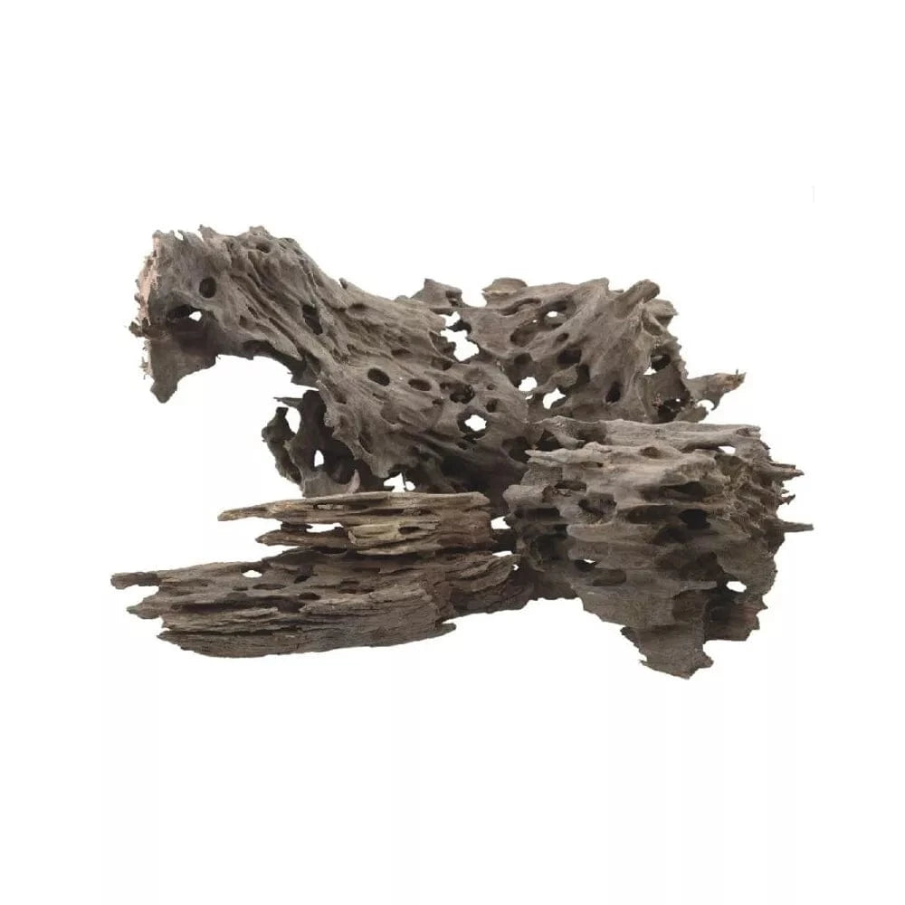 Dekoracija akvariumui šaka 30-40 cm, 20 kg