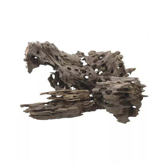 Dekoracija akvariumui šaka 30-40 cm, 20 kg