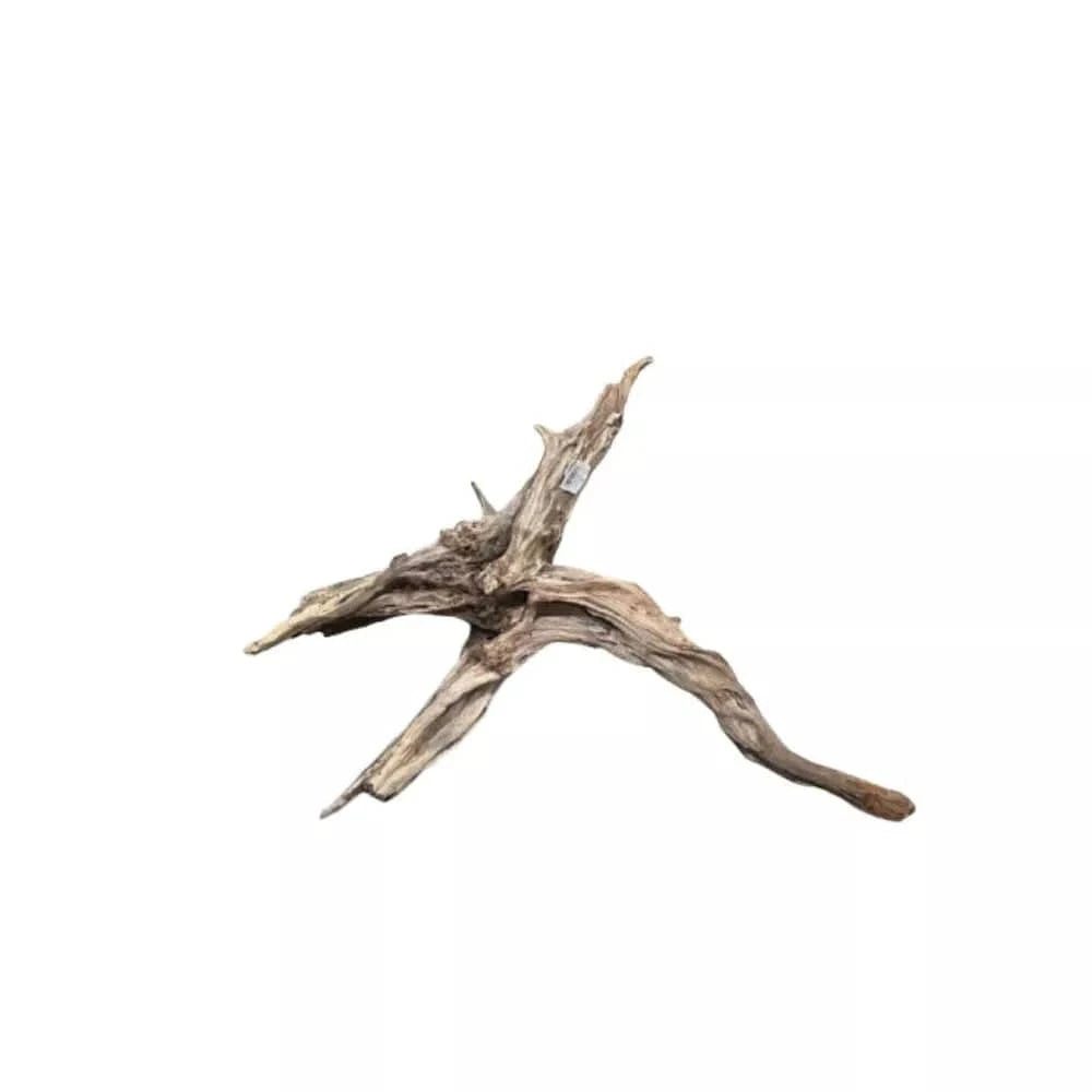 Dekoracija akvariumui šaka Black Slim Wood L (45-60 cm)