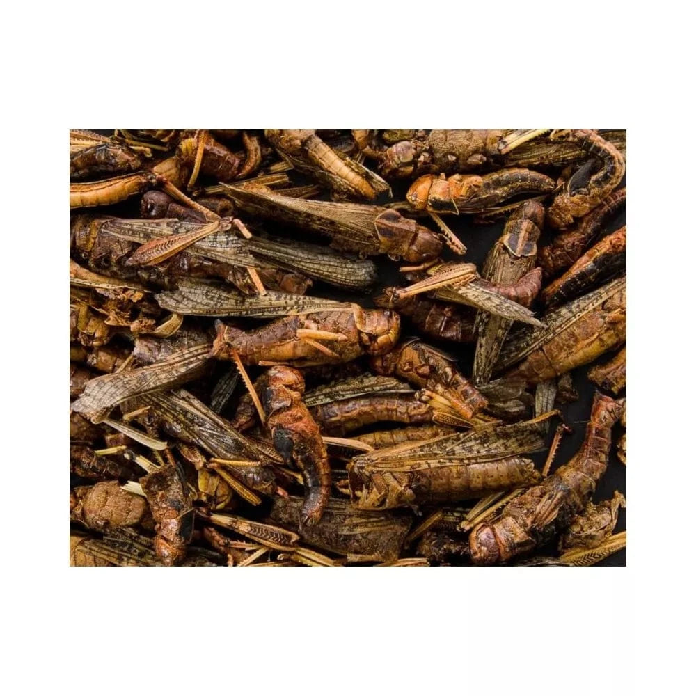 Džiovinti žiogai, 80 g