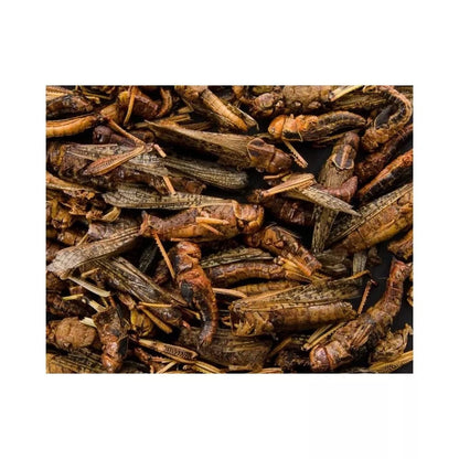 Džiovinti žiogai, 80 g