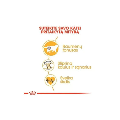 Royal Canin FBN British Shorthair Adult maistas suaugusioms Britų trumpaplaukių veislės katėms 2 kg