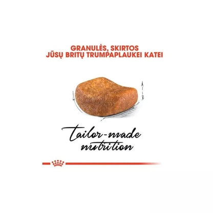 Royal Canin FBN British Shorthair Adult maistas suaugusioms Britų trumpaplaukių veislės katėms 2 kg