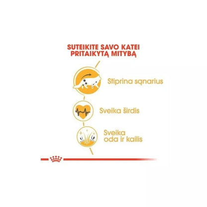 Royal Canin Maine Coon Sausas maistas Meino meškėnų veislės katėms 0,4 kg