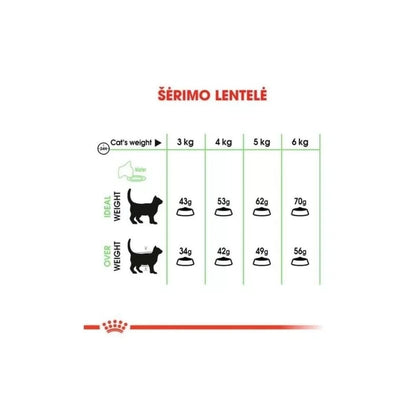 Royal Canin FCN Digestive Care maistas suaugusioms katėms gerai virškinimo sistemos veiklai 0,4 kg