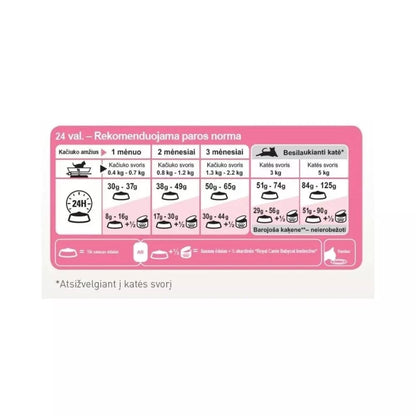 Royal Canin FHN First Age Mother and Babycat maistas maitinančioms katėms ir kačiukams 0,4 kg