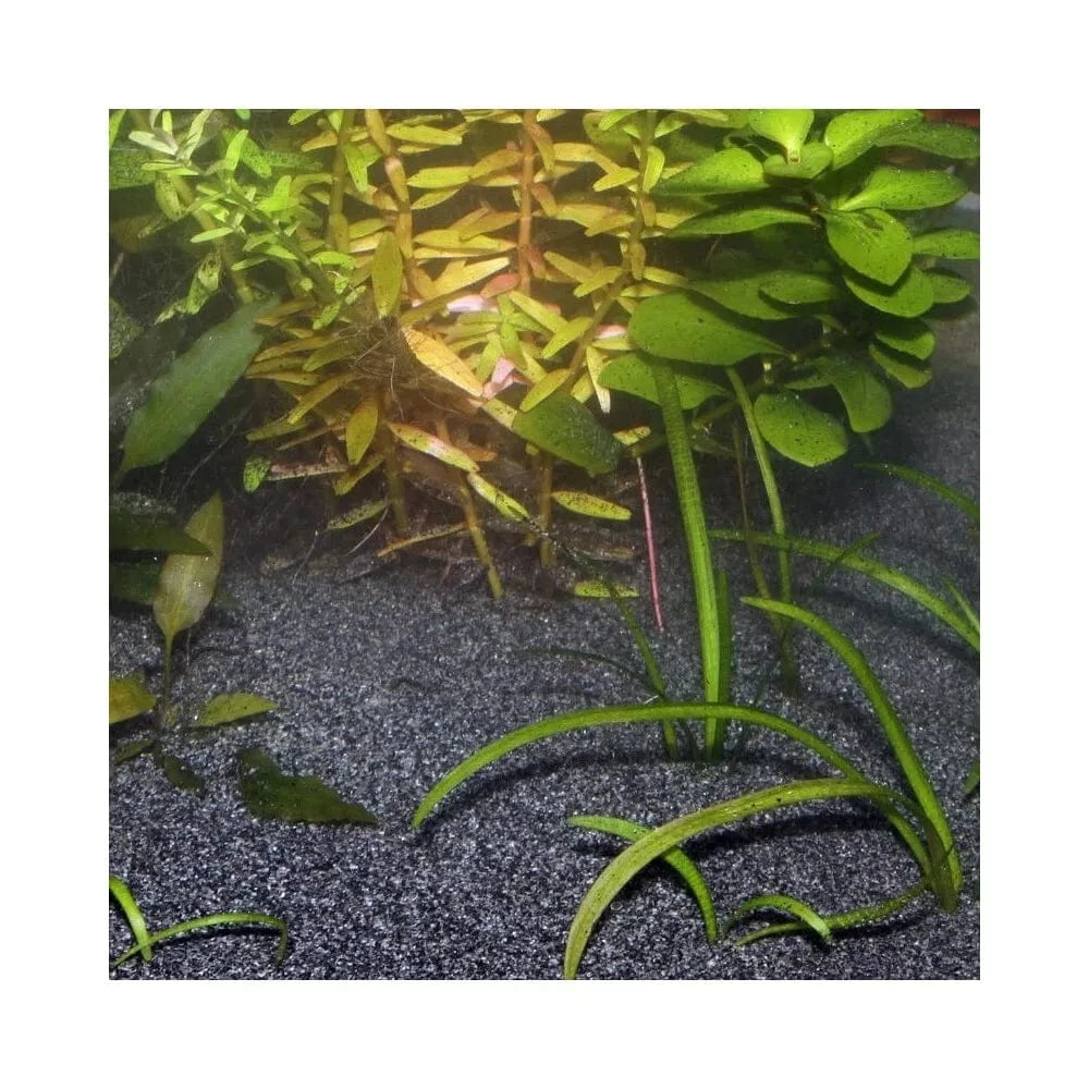 JBL gruntas Sansibar Black 10 kg (0,2-0,5 mm), juodas