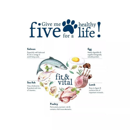 Happy Dog Mini Senior visavertis pašaras mažų veislių seniems šunims, 800 g