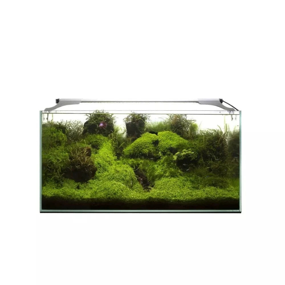 Leddy Slim Plant, 32 W, 80-107 cm, baltas