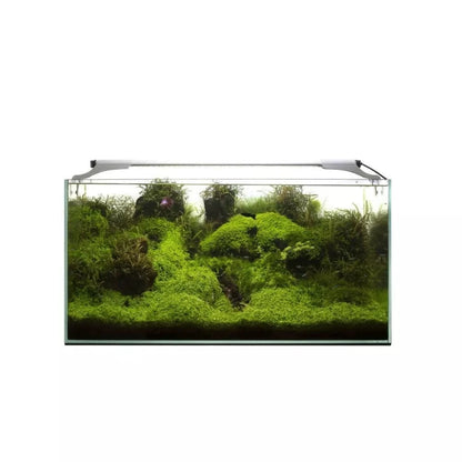 Leddy Slim Plant, 32 W, 80-107 cm, baltas