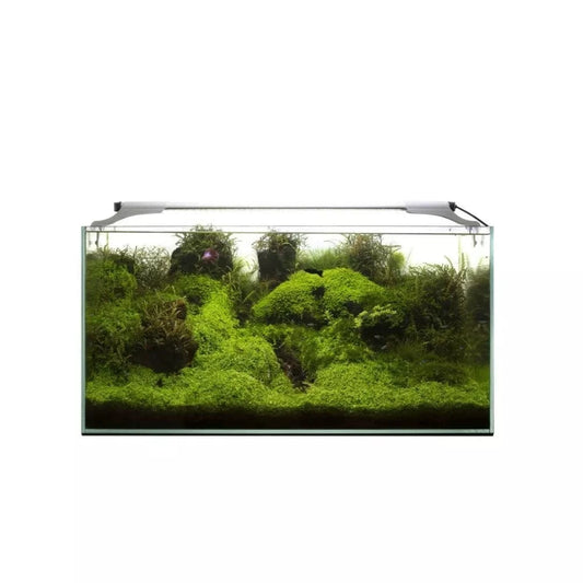 Leddy Slim Plant, 36 W, 100-127 cm, baltas