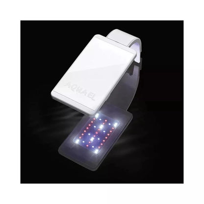 Leddy Smart 4,8 W Plant šviestuvas (baltas)