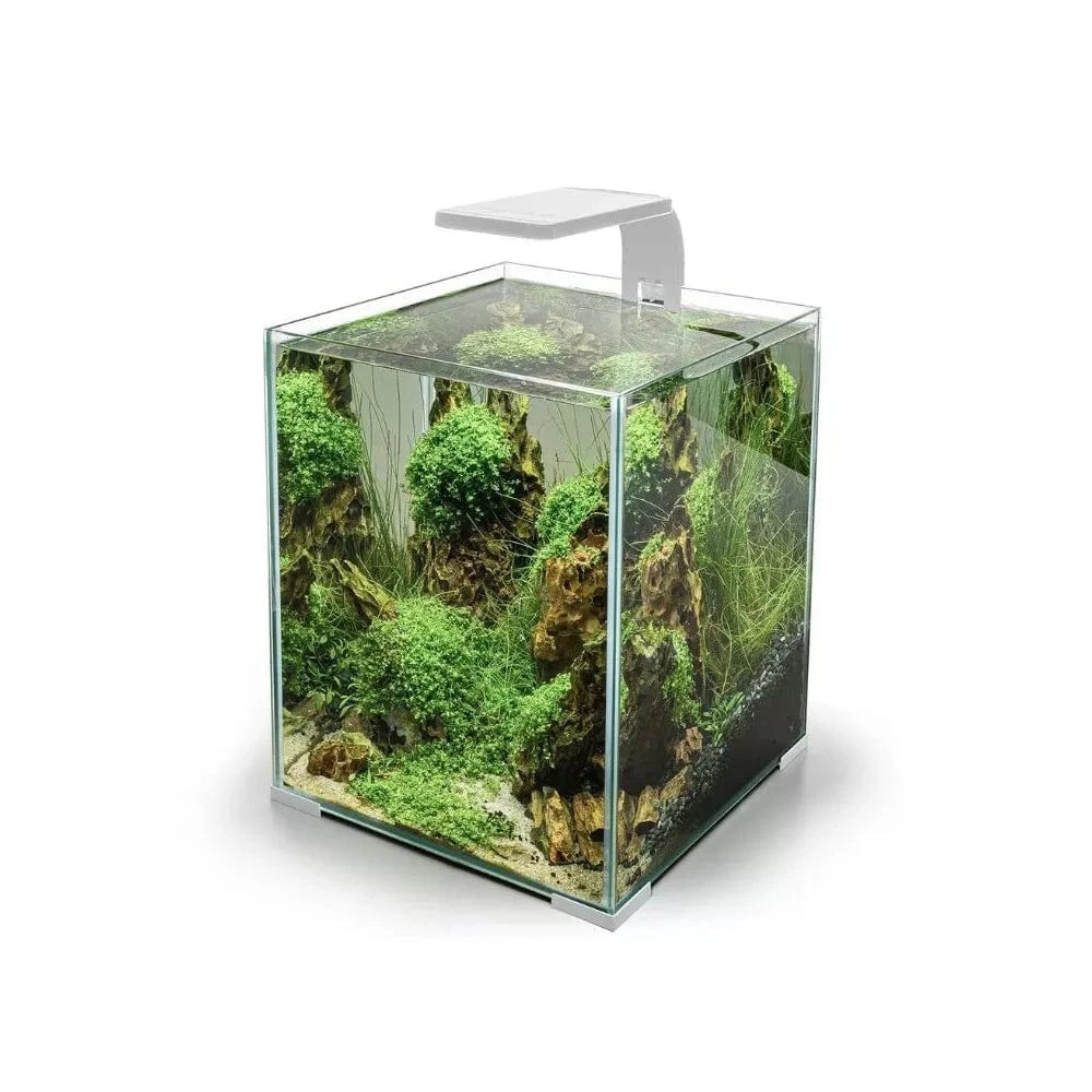 Leddy Smart 4,8 W Plant šviestuvas (baltas)