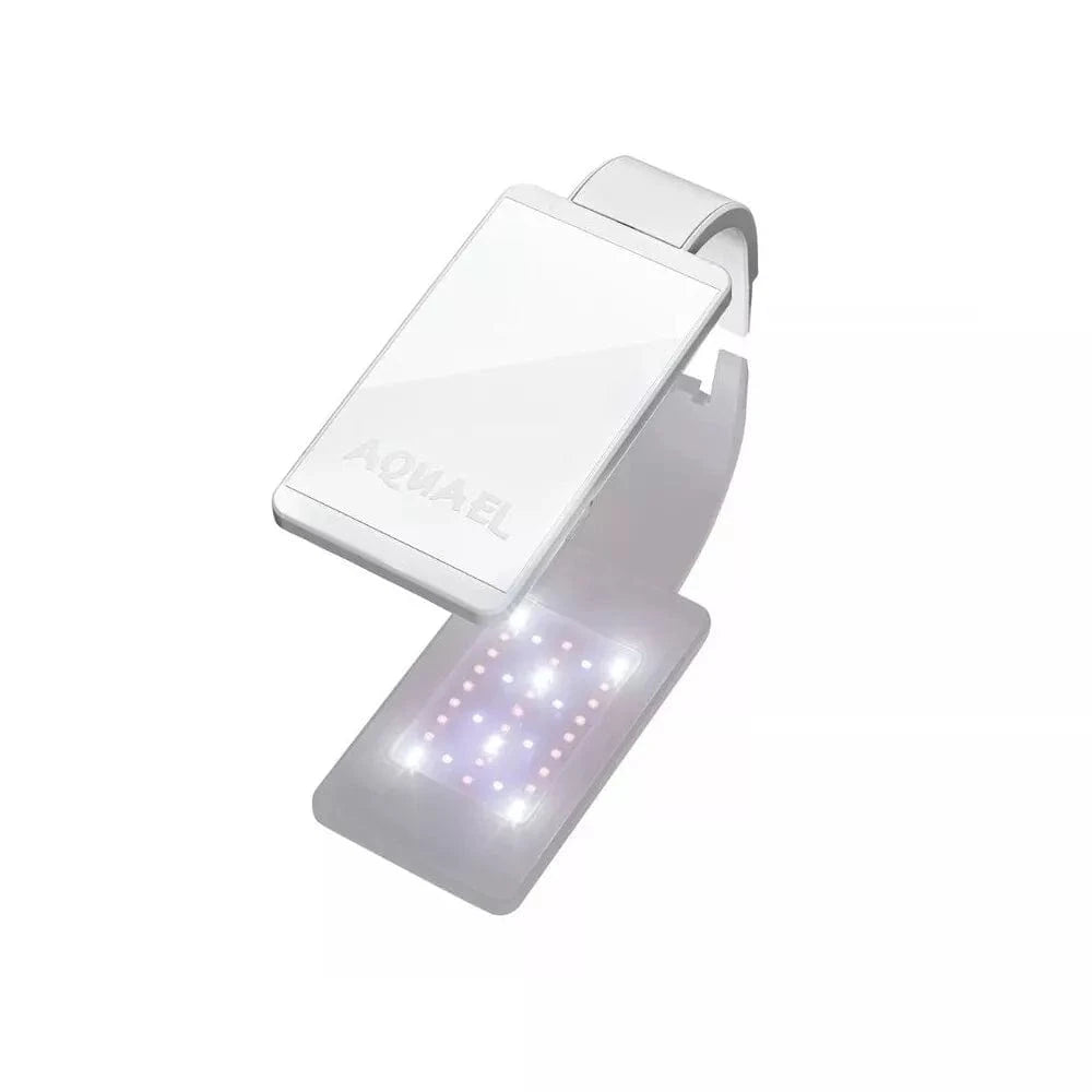 Leddy Smart 4,8 W Plant šviestuvas (baltas)