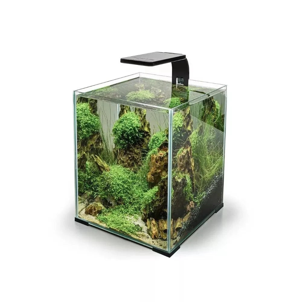 Leddy Smart 4,8 W Plant šviestuvas (juodas)